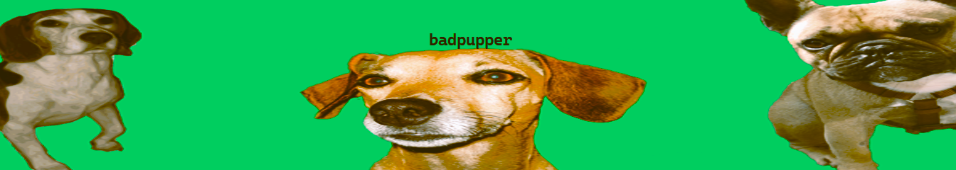 badpupper's cover