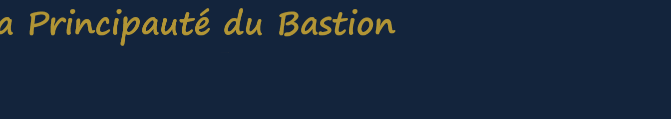 Bastion.PM (Project Management account)'s cover