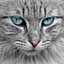 avatar of @catsmakekittens