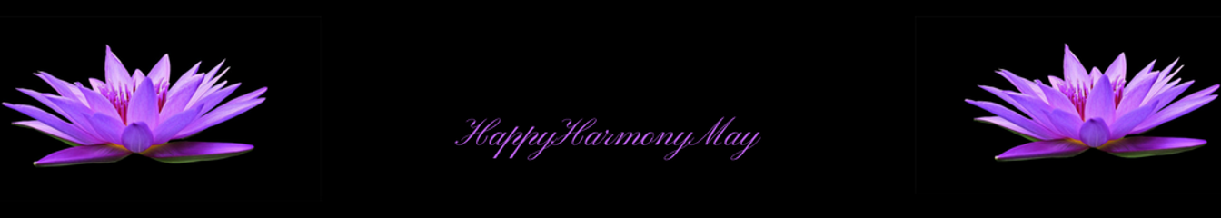 Happy Harmony May's cover