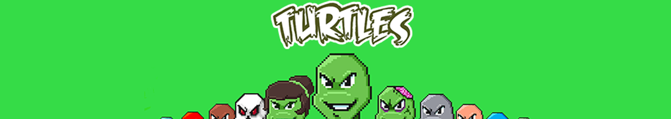 Turtles on Solana's cover