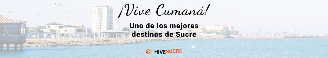 Hive Sucre's cover