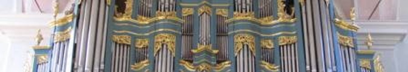 Organ Playing's cover