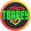 avatar of @torrey.leo